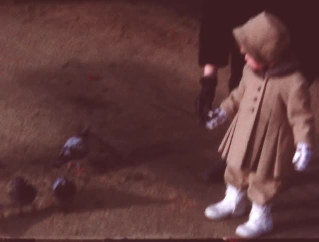 An old film of a child feeding birds with the help of parents