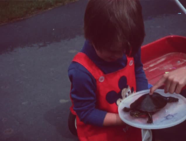 A boy touches and drops a turtle