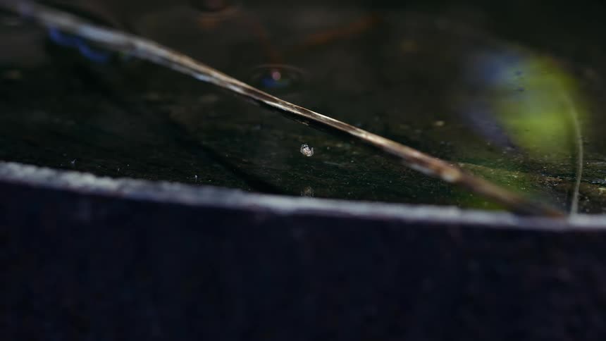A small white spider hangs from a branch on a web