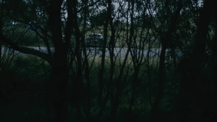 A car is parked on a rural road partially obscured by dense trees in low light