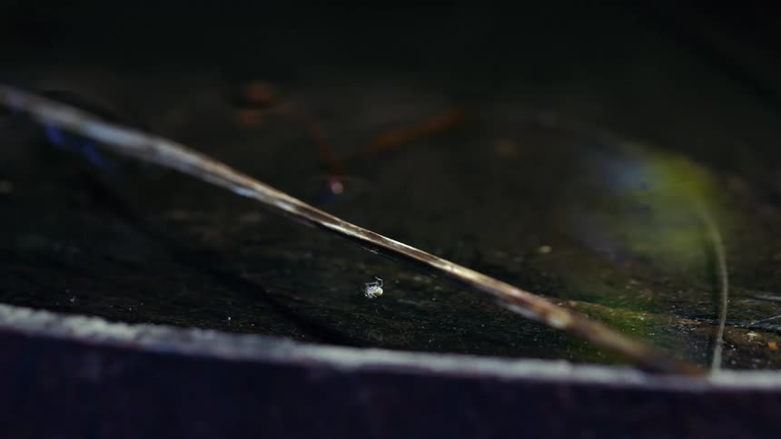 A tiny spider is spinning on a web