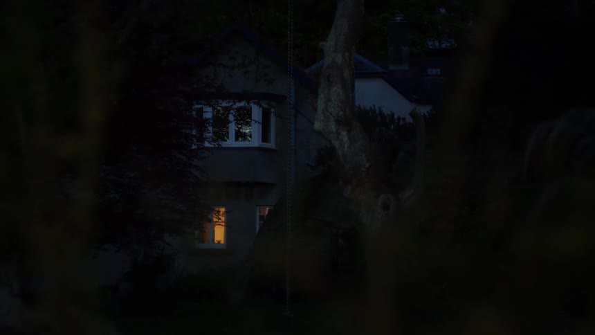 Past the trees is a home