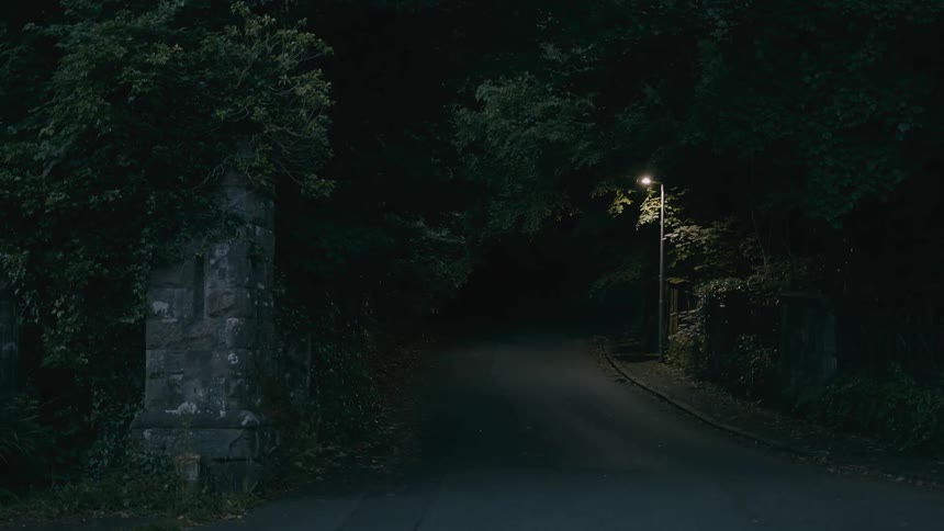 A dark empty road is dimly lit by a single streetlamp beneath overhanging trees at night