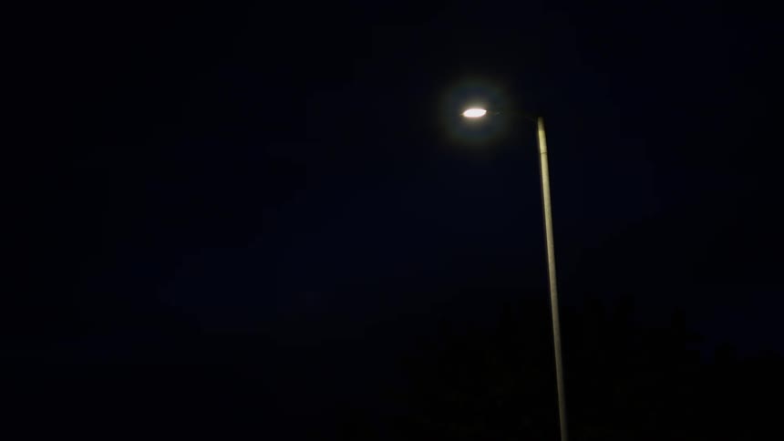 A lone street light illuminates a dark clear night sky