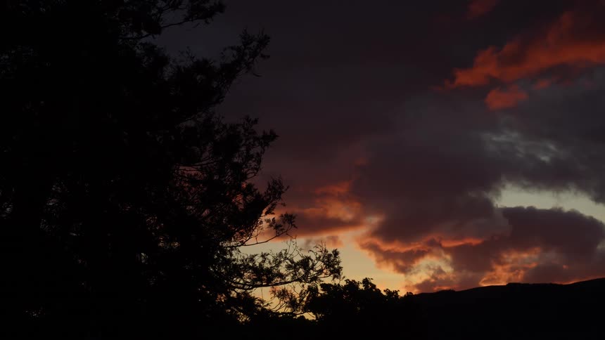 Cloudy dark sky at dawn in the forest