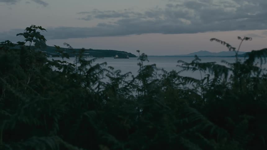 Distant boat on calm coastal water framed by foreground foliage at dusk