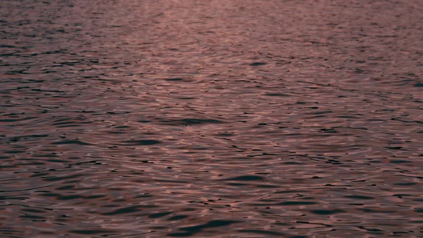 Calm waves on a large body of water at sunset