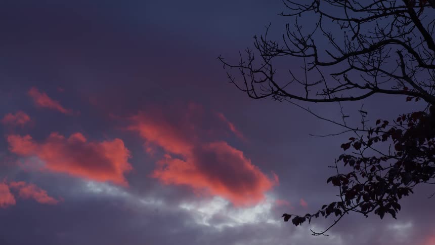 Vibrant clouds glow orange at sunset with tree branches silhouetted against the sky