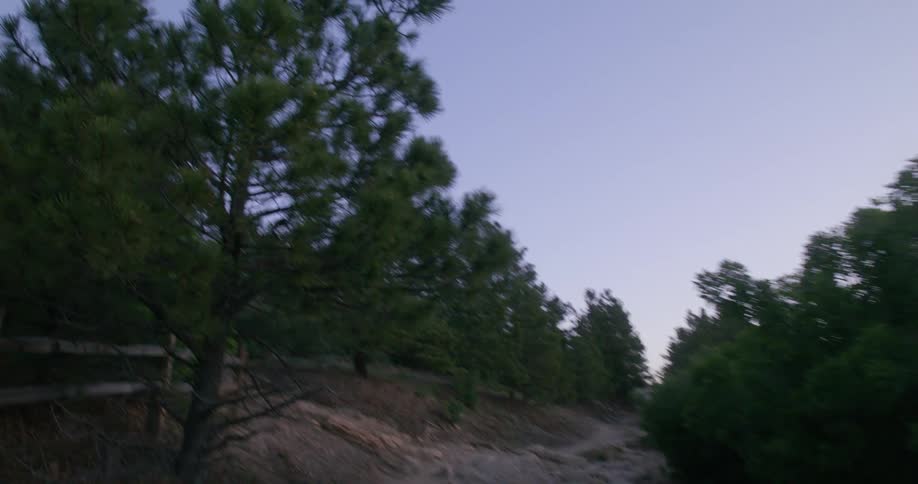 A small trail runs by the trees on the mountain top