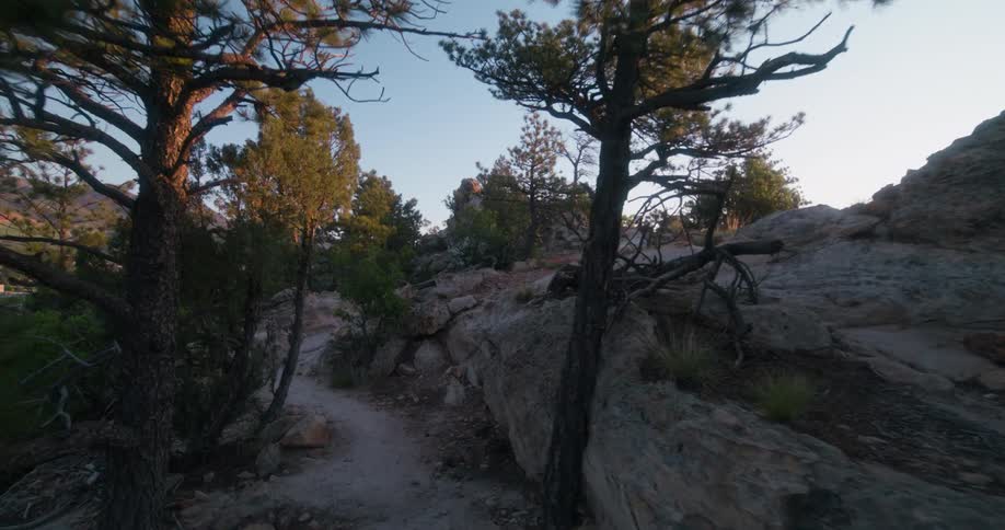 A small trail runs uphill on the mountain and is lined with trees