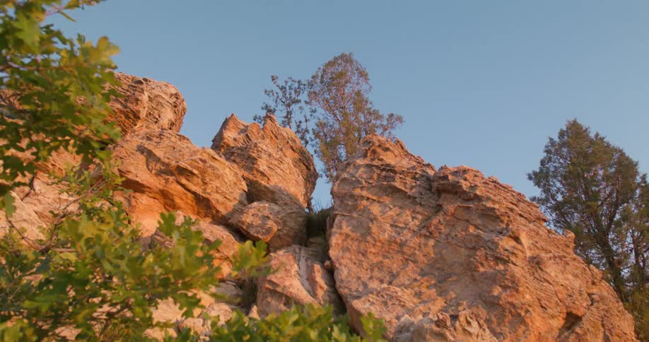 The wind blows the trees in the canyon