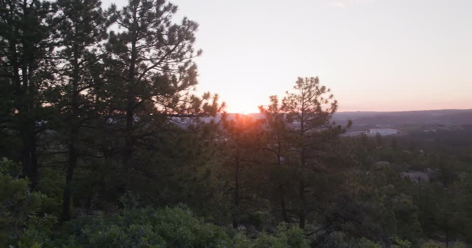 The sun sets behind a forested hillside casting a warm glow through the trees