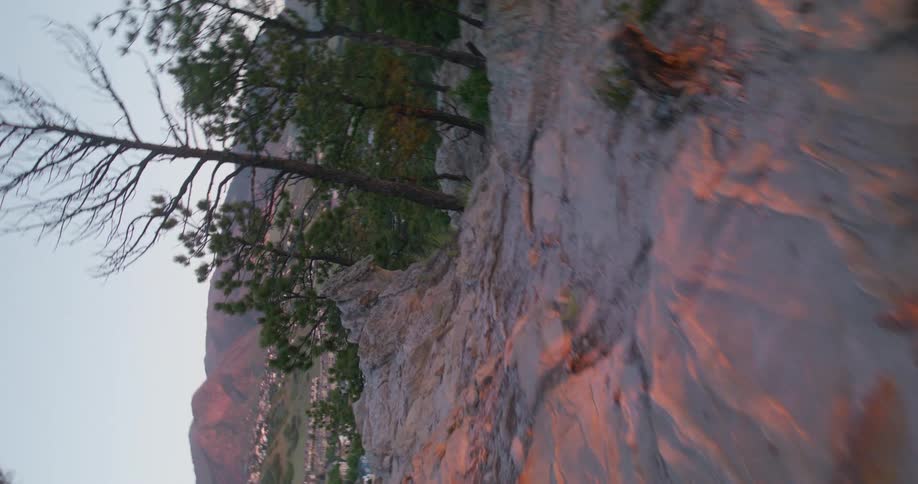 A rocky forest trail winds through pine trees at dusk with mountains in the background