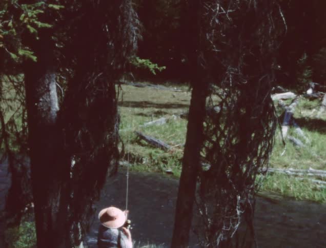 A person fishes at a river in the forest