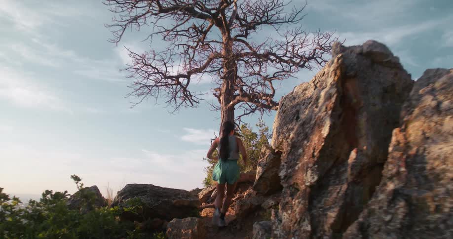A woman runs and leaps past a leafless tree on a rocky mountain path leading to the summit at midday