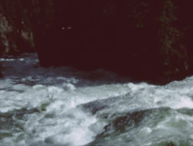 Waters raging down a river in the forest