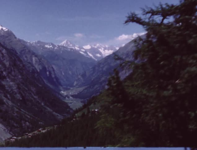 Trees line a road next to mountains