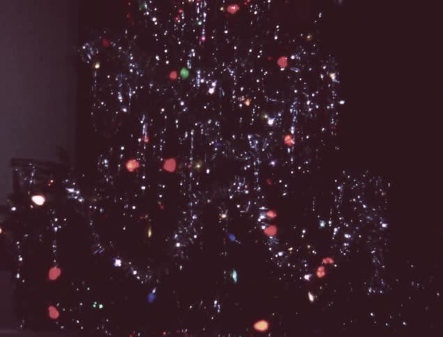 Presents are underneath the christmas tree