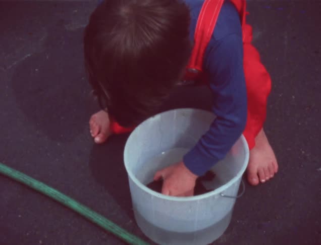 A young child lifts a turtle from a pail of water