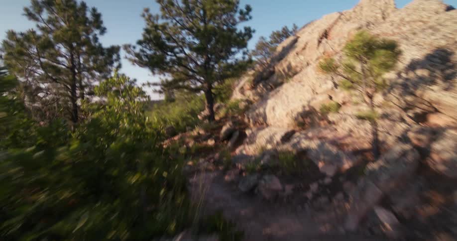 Trees and grass are on the mountain top