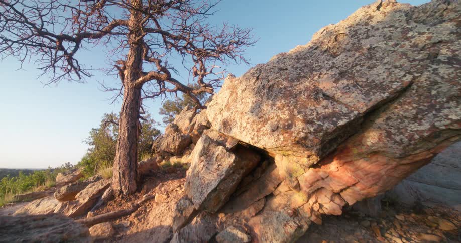 Dry tree on the peak of a rocky mountain