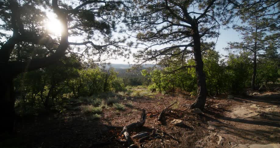 A small trail is on the mountain top