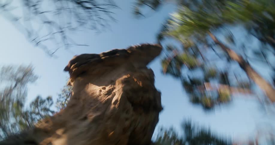 Log and rocks on a mountain