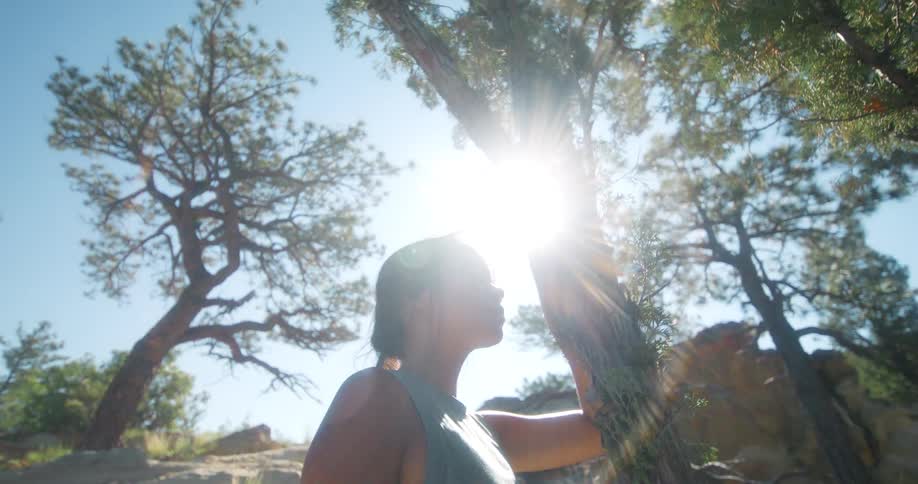 Woman gently touches a tree while standing in a sunlit forest