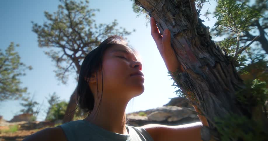 A woman leans on a tree on the mountain