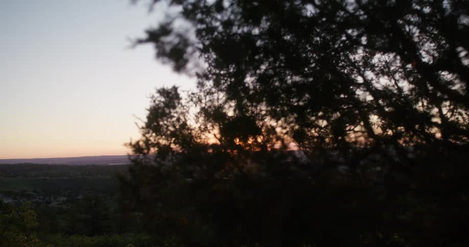 Beyond a tree on top of a mountain the orange setting sun is revealed