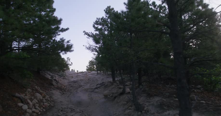 A mountain path with trees lining each side at midday