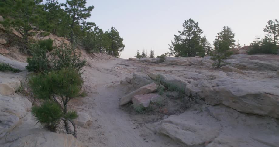Rocky terrain with sparse trees at dusk