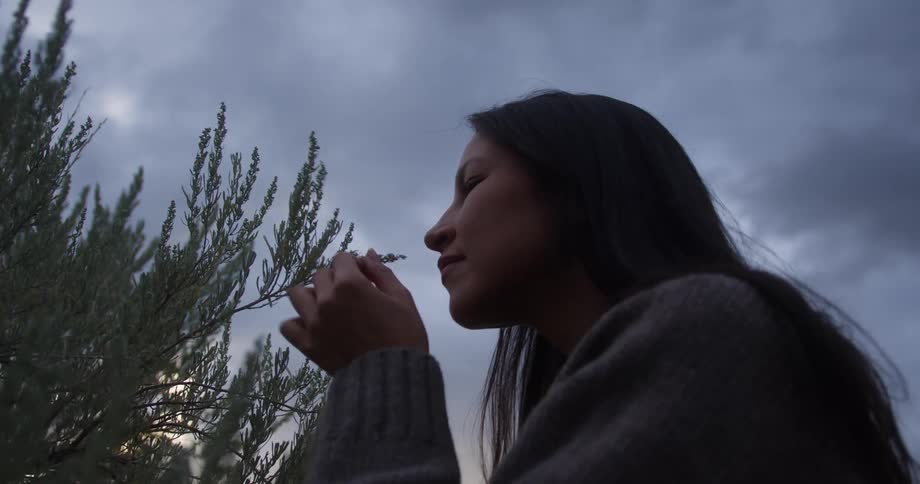 A young woman with a serene expression gently touches and smells a sprig of a wild plant under a dusky overcast sky