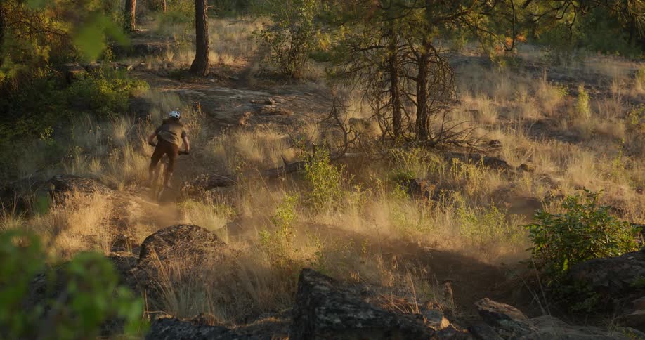 A mountain biker rides down a dusty forest trail at sunset
