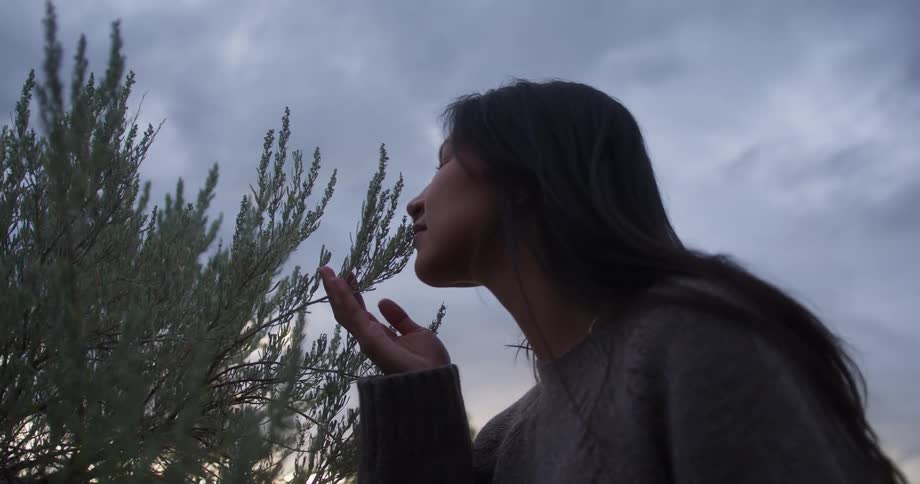 A woman gently smells a plant at dusk under a cloudy sky