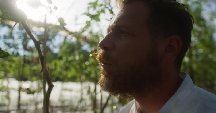 Man smells a fresh tomato and takes a bite