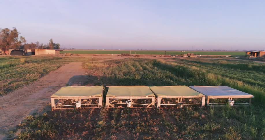 A poultry cage setup for hens is placed in an open rural farm field at sunrise