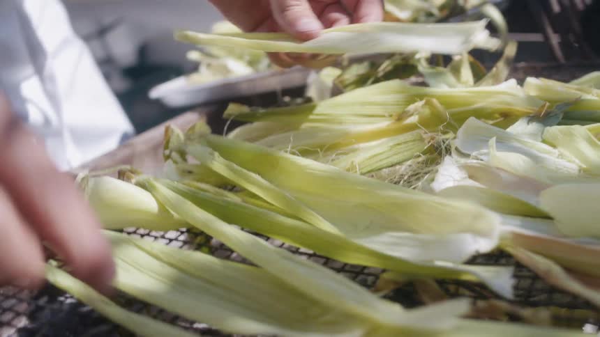 Hands are seen peeling or arranging fresh corn husks over a mesh surface likely in preparation for cooking or drying under sunlight