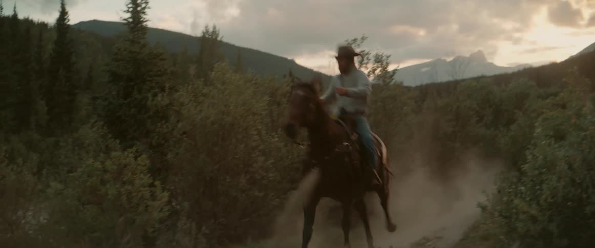 Two people ride their horses quickly into the woods at midday