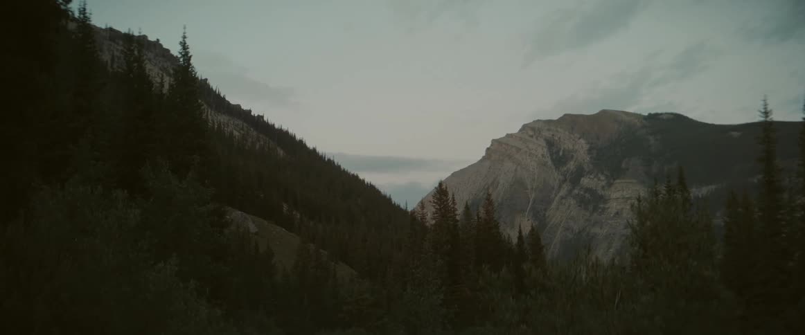 Landscape of a forest in the mountains on a cloudy day