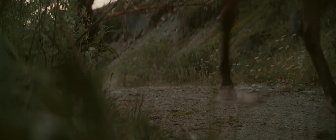 From a low groundlevel perspective the legs and hooves of two horses thunder past on a dirt path in the wilderness