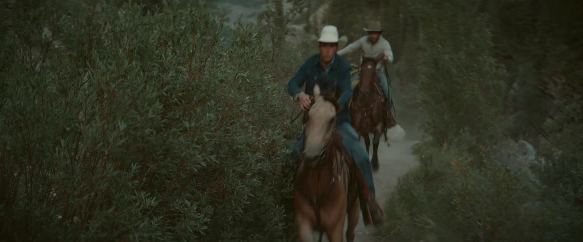 A cowboy rides a horse down a narrow dirt trail surrounded by dense green foliage in a forested area