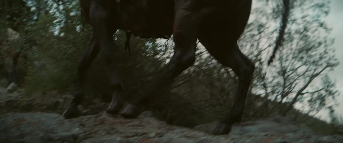 Man in hat and on horseback climbing a mountain