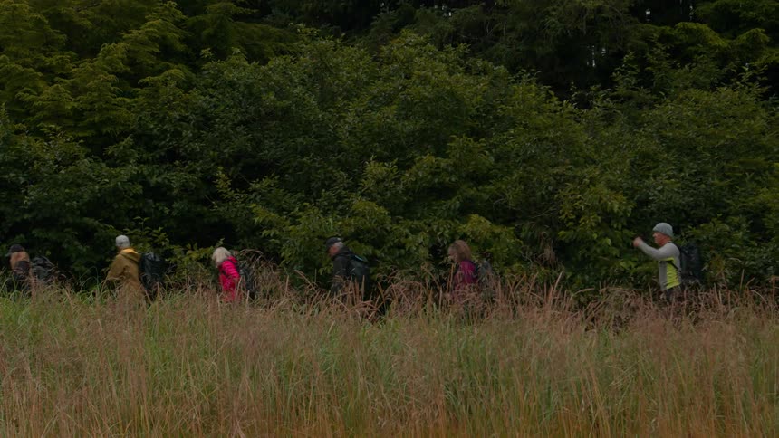Three hikers walk in a line through tall grass along the edge of a dense green forest