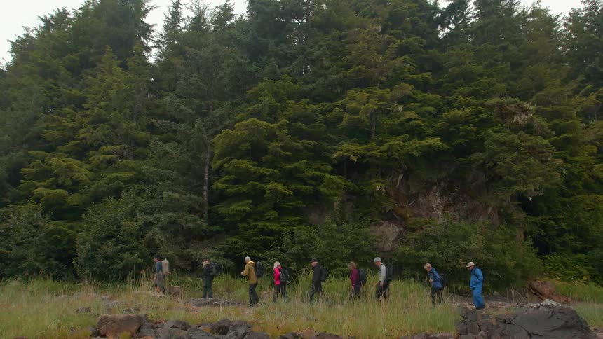 Group of people walking on a forest trail