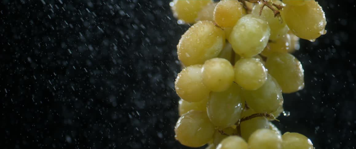 Green grapes twirling in mist