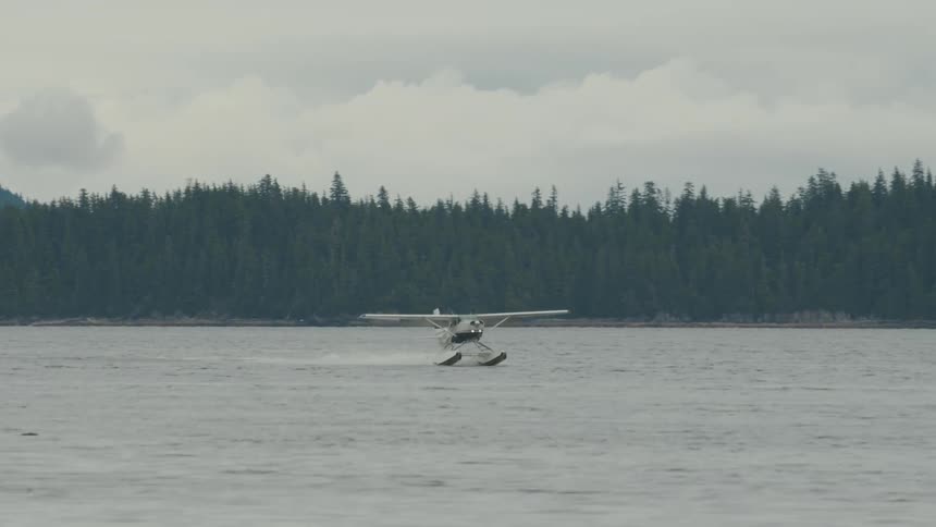 Plane landing in the sea surrounded by coniferous forest