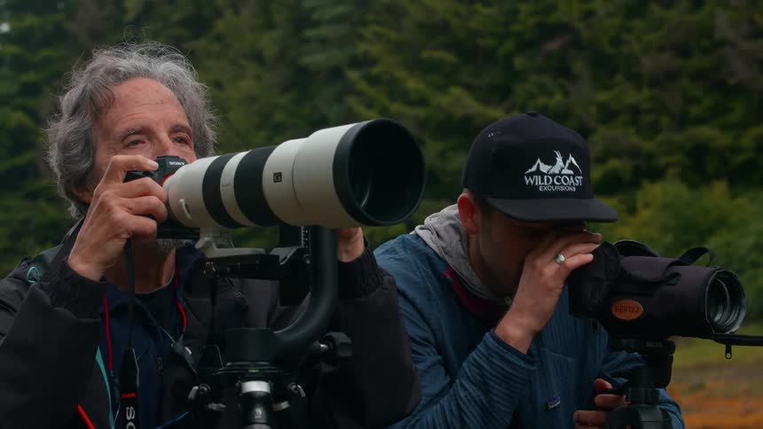 Two photographers are capturing footage in the wildernress