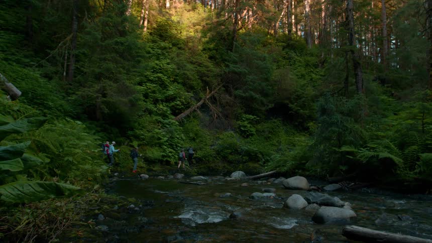 A group of people hiking in the forest walk over a stream at midday