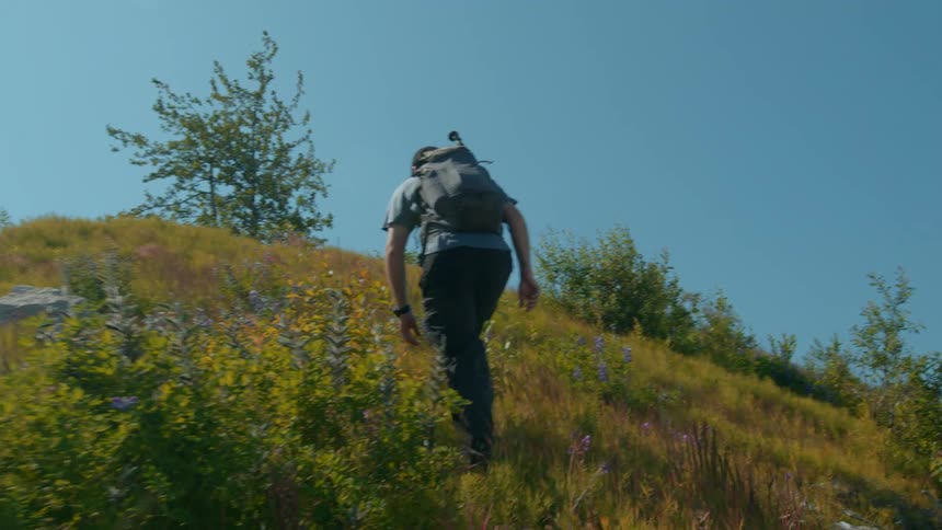 A hiker treks uphill through a grassy and sunny mountain trail